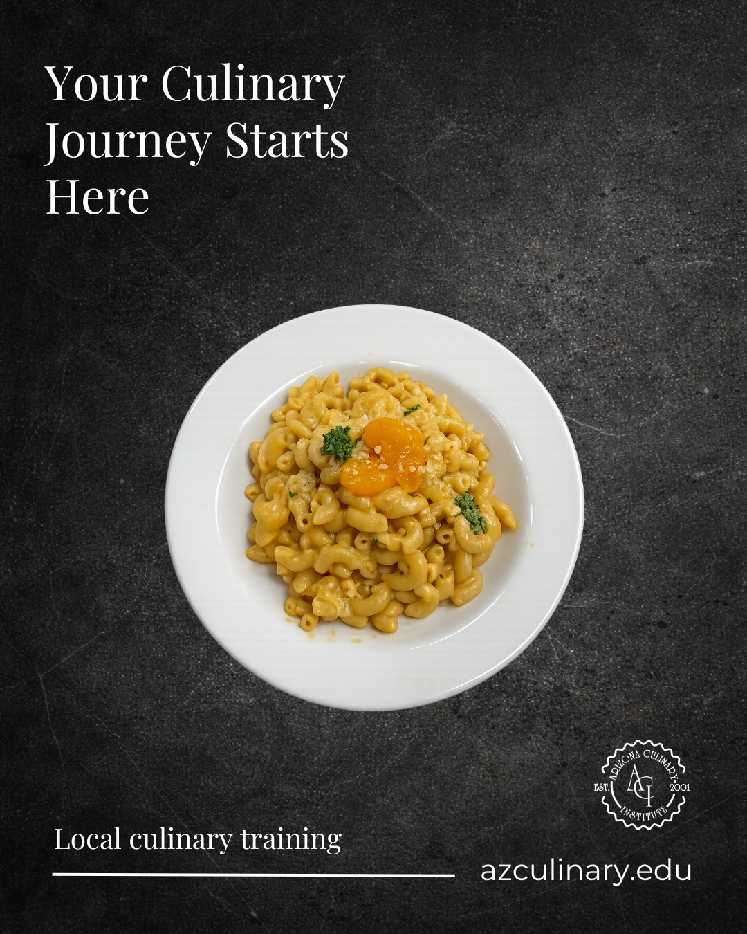 Comfort food, elevated. 🍝

Students at Arizona Culinary Institute learn classic techniques while creating dishes like this creamy mac & cheese from scratch in real kitchens.

Classes start July 6th. Schedule a tour and see where hands-on training begins.