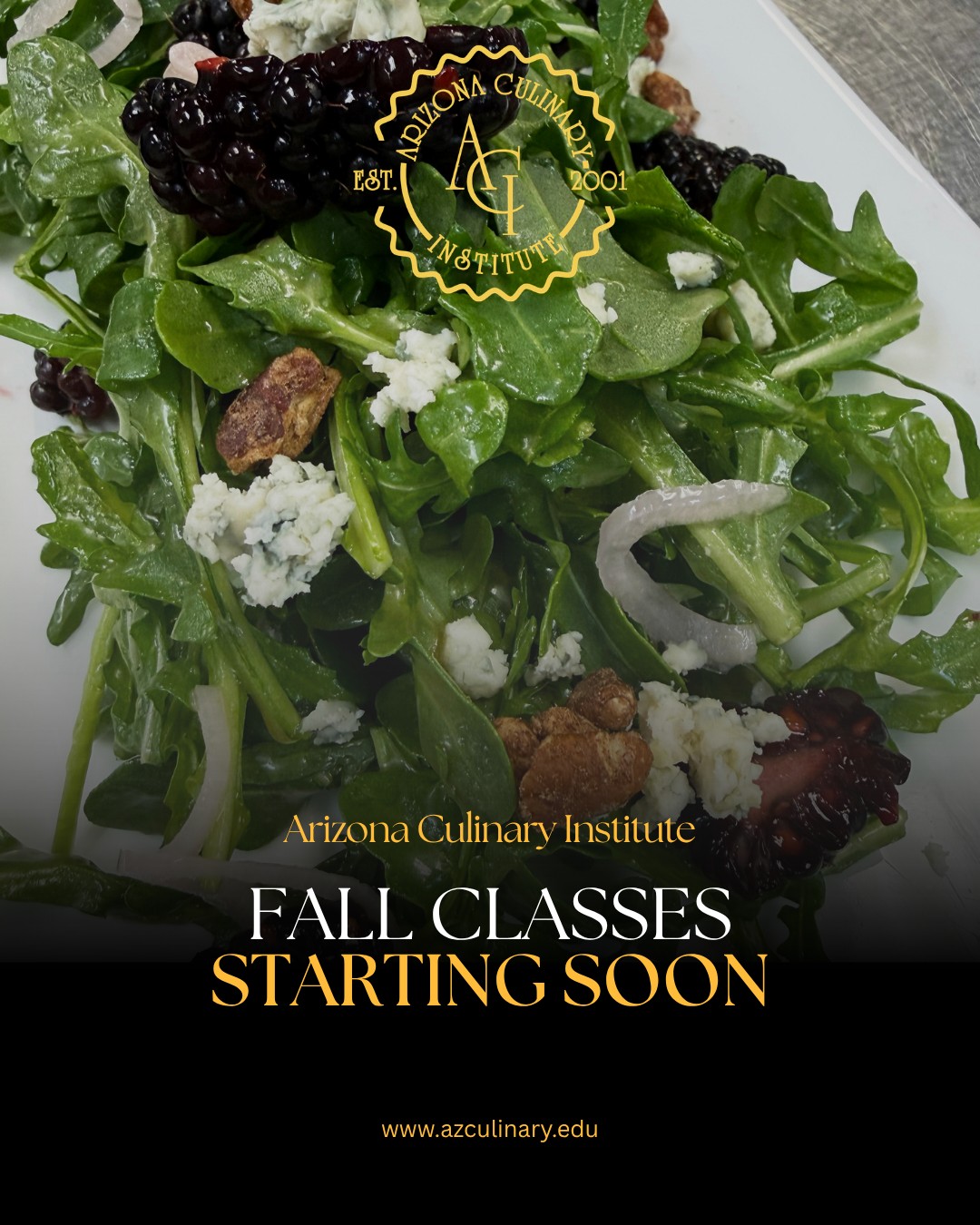 Two weeks to go. 🥗

Our next class starts October 26, and there&rsquo;s still time to take that first step toward culinary school.

Come tour ACI, see the kitchens, and find out what eight months of hands-on culinary training could look like for you.

#ArizonaCulinaryInstitute #CulinarySchool #CulinaryArts #FallClasses #ScottsdaleAZ